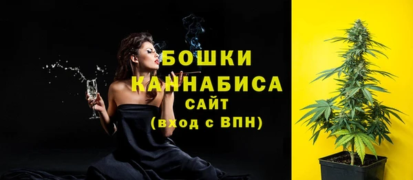 индика Покров