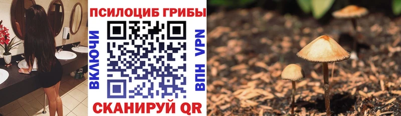 Псилоцибиновые грибы ЛСД Жиздра